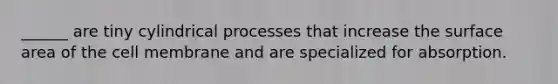 ______ are tiny cylindrical processes that increase the surface area of the cell membrane and are specialized for absorption.