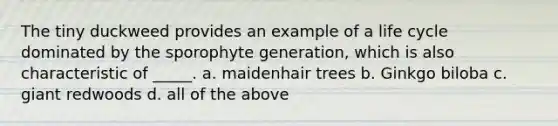 The tiny duckweed provides an example of a life cycle dominated by the sporophyte generation, which is also characteristic of _____. a. maidenhair trees b. Ginkgo biloba c. giant redwoods d. all of the above