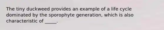 The tiny duckweed provides an example of a life cycle dominated by the sporophyte generation, which is also characteristic of _____.