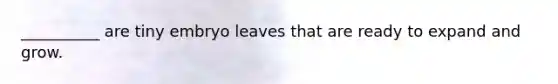 __________ are tiny embryo leaves that are ready to expand and grow.