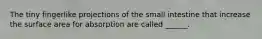 The tiny fingerlike projections of the small intestine that increase the surface area for absorption are called ______.