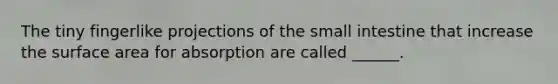 The tiny fingerlike projections of the small intestine that increase the surface area for absorption are called ______.