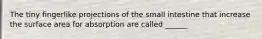 The tiny fingerlike projections of the small intestine that increase the surface area for absorption are called ______