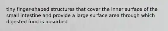 tiny finger-shaped structures that cover the inner surface of the small intestine and provide a large surface area through which digested food is absorbed