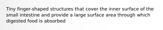 Tiny finger-shaped structures that cover the inner surface of the small intestine and provide a large surface area through which digested food is absorbed