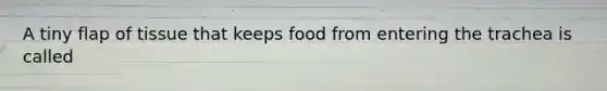 A tiny flap of tissue that keeps food from entering the trachea is called