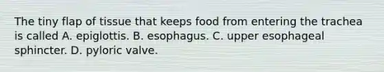 The tiny flap of tissue that keeps food from entering the trachea is called A. epiglottis. B. esophagus. C. upper esophageal sphincter. D. pyloric valve.