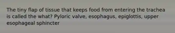 The tiny flap of tissue that keeps food from entering the trachea is called the what? Pyloric valve, esophagus, epiglottis, upper esophageal sphincter