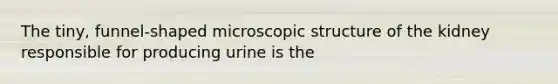 The tiny, funnel-shaped microscopic structure of the kidney responsible for producing urine is the