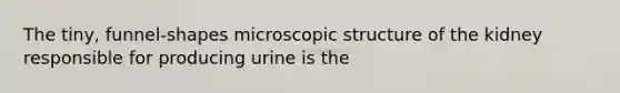 The tiny, funnel-shapes microscopic structure of the kidney responsible for producing urine is the