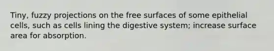 Tiny, fuzzy projections on the free surfaces of some epithelial cells, such as cells lining the digestive system; increase surface area for absorption.