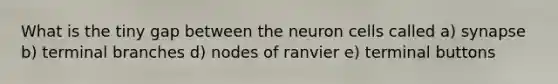 What is the tiny gap between the neuron cells called a) synapse b) terminal branches d) nodes of ranvier e) terminal buttons