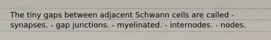 The tiny gaps between adjacent Schwann cells are called - synapses. - gap junctions. - myelinated. - internodes. - nodes.