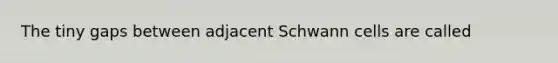 The tiny gaps between adjacent Schwann cells are called