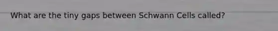 What are the tiny gaps between Schwann Cells called?