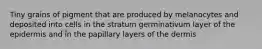 Tiny grains of pigment that are produced by melanocytes and deposited into cells in the stratum germinativum layer of the epidermis and in the papillary layers of the dermis