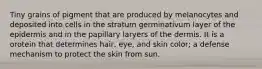 Tiny grains of pigment that are produced by melanocytes and deposited into cells in the stratum germinativum layer of the epidermis and in the papillary laryers of the dermis. It is a orotein that determines hair, eye, and skin color; a defense mechanism to protect the skin from sun.