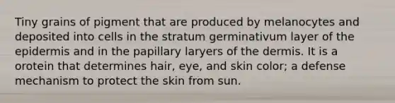 Tiny grains of pigment that are produced by melanocytes and deposited into cells in the stratum germinativum layer of the epidermis and in the papillary laryers of the dermis. It is a orotein that determines hair, eye, and skin color; a defense mechanism to protect the skin from sun.