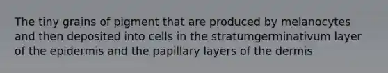 The tiny grains of pigment that are produced by melanocytes and then deposited into cells in the stratumgerminativum layer of the epidermis and the papillary layers of the dermis