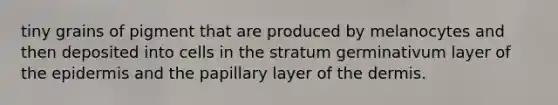 tiny grains of pigment that are produced by melanocytes and then deposited into cells in the stratum germinativum layer of the epidermis and the papillary layer of the dermis.