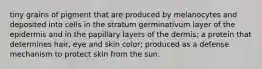 tiny grains of pigment that are produced by melanocytes and deposited into cells in the stratum germinativum layer of the epidermis and in the papillary layers of the dermis; a protein that determines hair, eye and skin color; produced as a defense mechanism to protect skin from the sun.