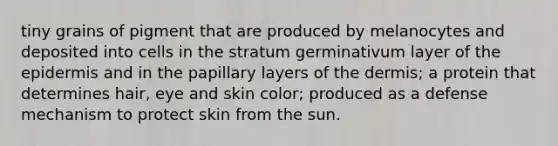 tiny grains of pigment that are produced by melanocytes and deposited into cells in the stratum germinativum layer of the epidermis and in the papillary layers of the dermis; a protein that determines hair, eye and skin color; produced as a defense mechanism to protect skin from the sun.