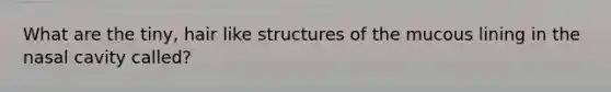 What are the tiny, hair like structures of the mucous lining in the nasal cavity called?