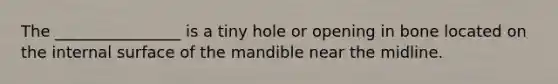 The ________________ is a tiny hole or opening in bone located on the internal surface of the mandible near the midline.