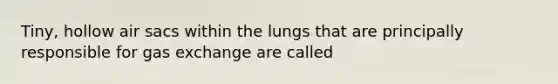 Tiny, hollow air sacs within the lungs that are principally responsible for gas exchange are called