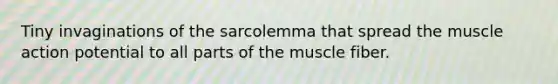 Tiny invaginations of the sarcolemma that spread the muscle action potential to all parts of the muscle fiber.