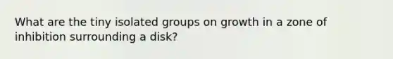 What are the tiny isolated groups on growth in a zone of inhibition surrounding a disk?