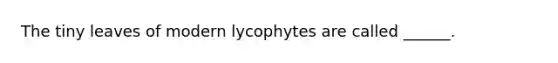 The tiny leaves of modern lycophytes are called ______.