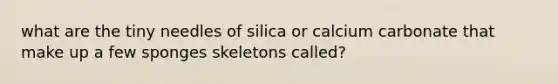 what are the tiny needles of silica or calcium carbonate that make up a few sponges skeletons called?