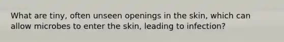 What are tiny, often unseen openings in the skin, which can allow microbes to enter the skin, leading to infection?