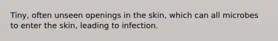 Tiny, often unseen openings in the skin, which can all microbes to enter the skin, leading to infection.