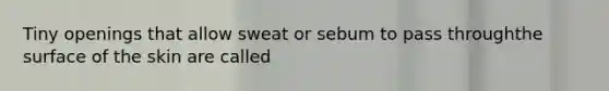 Tiny openings that allow sweat or sebum to pass throughthe surface of the skin are called