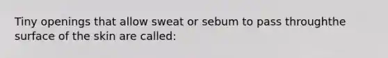 Tiny openings that allow sweat or sebum to pass throughthe surface of the skin are called: