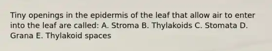 Tiny openings in <a href='https://www.questionai.com/knowledge/kBFgQMpq6s-the-epidermis' class='anchor-knowledge'>the epidermis</a> of the leaf that allow air to enter into the leaf are called: A. Stroma B. Thylakoids C. Stomata D. Grana E. Thylakoid spaces