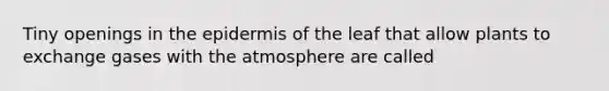 Tiny openings in the epidermis of the leaf that allow plants to exchange gases with the atmosphere are called