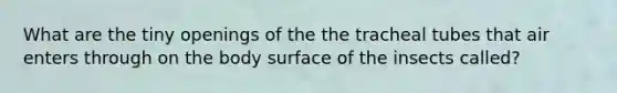 What are the tiny openings of the the tracheal tubes that air enters through on the body surface of the insects called?