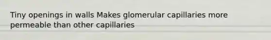 Tiny openings in walls Makes glomerular capillaries more permeable than other capillaries