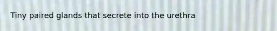 Tiny paired glands that secrete into the urethra