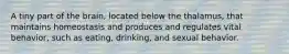 A tiny part of the brain, located below the thalamus, that maintains homeostasis and produces and regulates vital behavior, such as eating, drinking, and sexual behavior.