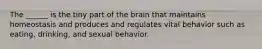 The ______ is the tiny part of the brain that maintains homeostasis and produces and regulates vital behavior such as eating, drinking, and sexual behavior.