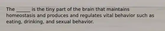 The ______ is the tiny part of the brain that maintains homeostasis and produces and regulates vital behavior such as eating, drinking, and sexual behavior.