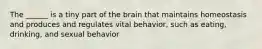 The ______ is a tiny part of the brain that maintains homeostasis and produces and regulates vital behavior, such as eating, drinking, and sexual behavior