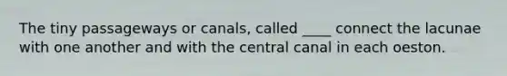 The tiny passageways or canals, called ____ connect the lacunae with one another and with the central canal in each oeston.