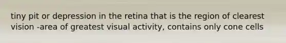 tiny pit or depression in the retina that is the region of clearest vision -area of greatest visual activity, contains only cone cells