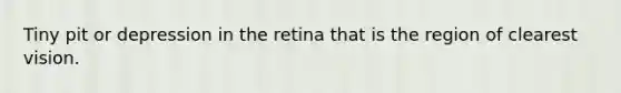 Tiny pit or depression in the retina that is the region of clearest vision.