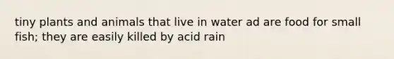 tiny plants and animals that live in water ad are food for small fish; they are easily killed by acid rain